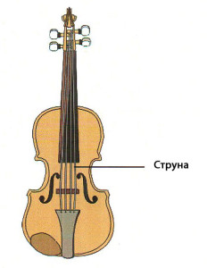 om-4