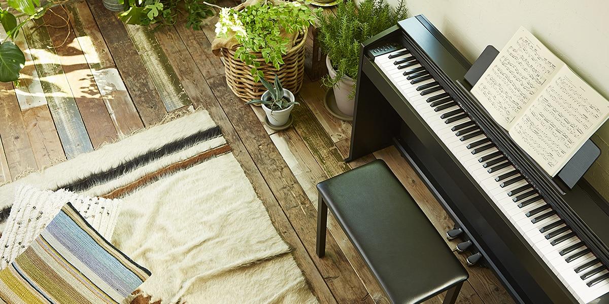 Casio PX-870