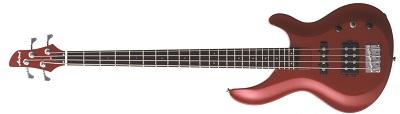 ARIA IGB-STD CA