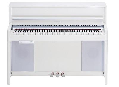 KURZWEIL CUP2A WHP KURZWEIL CUP2A WHP