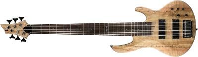 LTD B-206/SM/NS