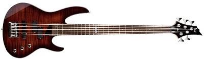 LTD B-55 FM DBSB