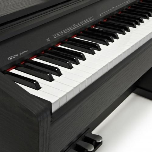 DP250 DP250