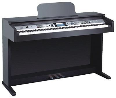 DP500 DP500