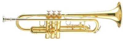 King 601 Bb