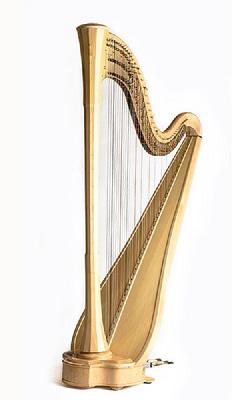 Harps 19003-C19 Harps 19003-C19