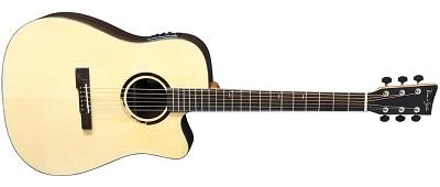 VGS R-10 CE Rose Natural Gloss / Satin Neck VGS R-10 CE Rose Natural Gloss / Satin Neck