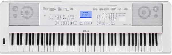 DGX 660WH