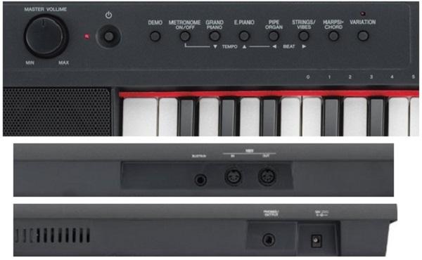 NP 31