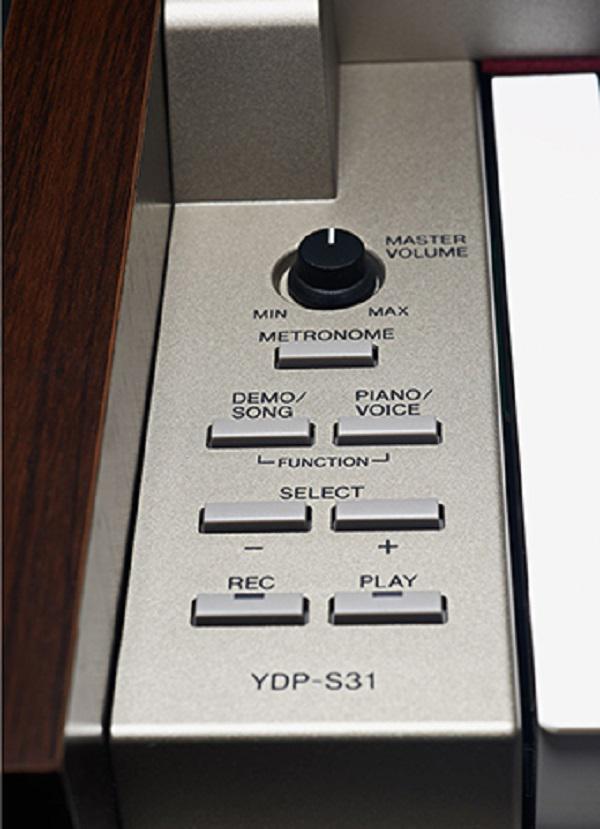 YDP S31 YDP S31