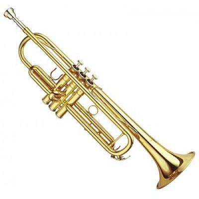 YTR-4335 YTR-4335