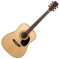 Купить Акустическая гитара<br/>Cort цвет натуральный глянцевый AD880-NAT Standard Series по лучшей цене