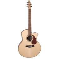 Купить Электро-акустическая гитара с чехлом<br/>Seagull Performer CW HG QIT с чехлом 032464 по лучшей цене