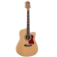 Купить Акустическая гитара<br/>RIGEIRA DD - 111 C / N по лучшей цене