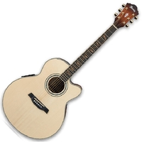 Купить Акустическая гитара<br/>IBANEZ AEL40SE RLV по лучшей цене