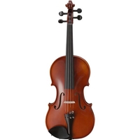 Купить Скрипка концертная<br/>Strunal 205w-Antique-4/4 по лучшей цене