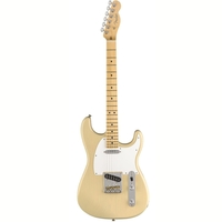 Купить Электрогитара<br/>FENDER WHITEGUARD STRATOCASTER MN VBL по лучшей цене