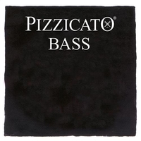 Купить Струны<br/>PIRASTRO Pizzicato 244020 по лучшей цене