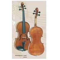 Купить Скрипка 4/4<br/>Gliga Professional Gama P-V044 по лучшей цене