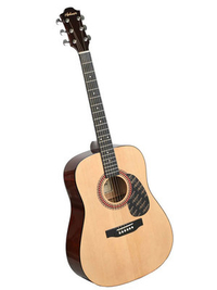Купить Акустическая гитара<br/>Hohner HW220N по лучшей цене
