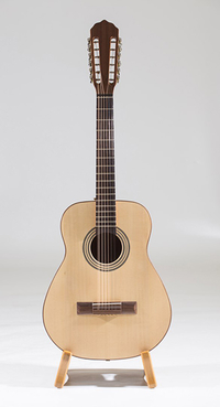 Купить Акустическая гитара, 12-струнная,<br/>Neva Guitars RHNG12B017 по лучшей цене